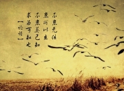开云体育在线-唯一性的戏剧，美利坚的逆转之夜，哈基米在D组写下不朽篇章