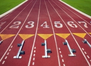 开云sport-终场哨响，争议终结，当福克斯的锋芒遇见猛龙的铁蹄