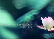 开云官网-篮球无疆界，马克西的42分刺穿华南长城