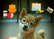 开云体育中国-小国掀翻战舰！阿什拉夫神勇扑救，几内亚强势击败比利时改写历史