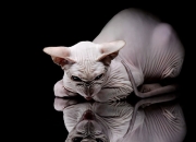 开云-以凡人之躯，行神迹之事，哥斯达黎加的战术铁幕与内马尔的破局之战