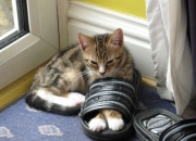 开云体育入口-时空错乱？欧冠半决赛焦点战竟现快船终结山西队！