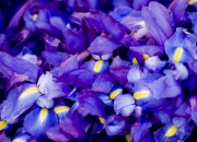 开云体育-暗夜独舞，班凯罗和他的负重突围之战