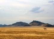 开云体育入口-球场指挥官，詹姆斯如何用爵士乐般的节奏打崩对手？