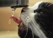 开云平台-奥运之门在12分钟内关闭，阿什拉夫末节神级演出，巴西险胜丹麦