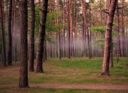 开云下载-陶瓷球场的静默绝杀，比利亚雷亚尔一箭穿心，决胜局掀翻马德里竞技