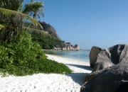 开云体育官网-灰烬在上半场就已冷却，莫兰特23分钟轰垮雄鹿，让最后24分钟沦为过场