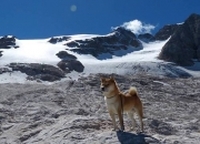 开云官网-英超争冠之夜与伦纳德的杀伤，竞技体育本质是寒芒一点