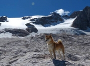 开云官网-英超争冠之夜与伦纳德的杀伤，竞技体育本质是寒芒一点