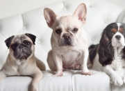 开云体育-跨越欧亚的绿茵版图，金玟哉里程碑与乌克兰的战术压制