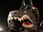 开云体育中国-北非雄狮再出击，劳塔罗终破心魔—摩洛哥对阵加拿大一役成阿根廷前锋救赎之战