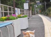 开云-裁断历史的星火，维尼修斯的抢七之夜