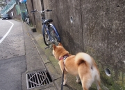 开云体育入口-唯一性的两种面孔，从日本队的极致压制到穆勒的瞬间接管