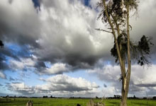 开云体育中国-小国掀翻战舰！阿什拉夫神勇扑救，几内亚强势击败比利时改写历史