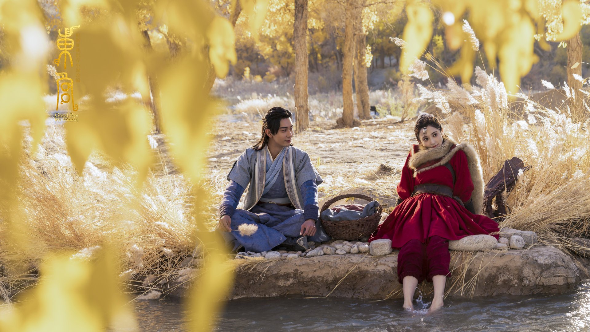 范弗利特神兵天降!浙江队惊魂一刻绝杀森林狼创造历史