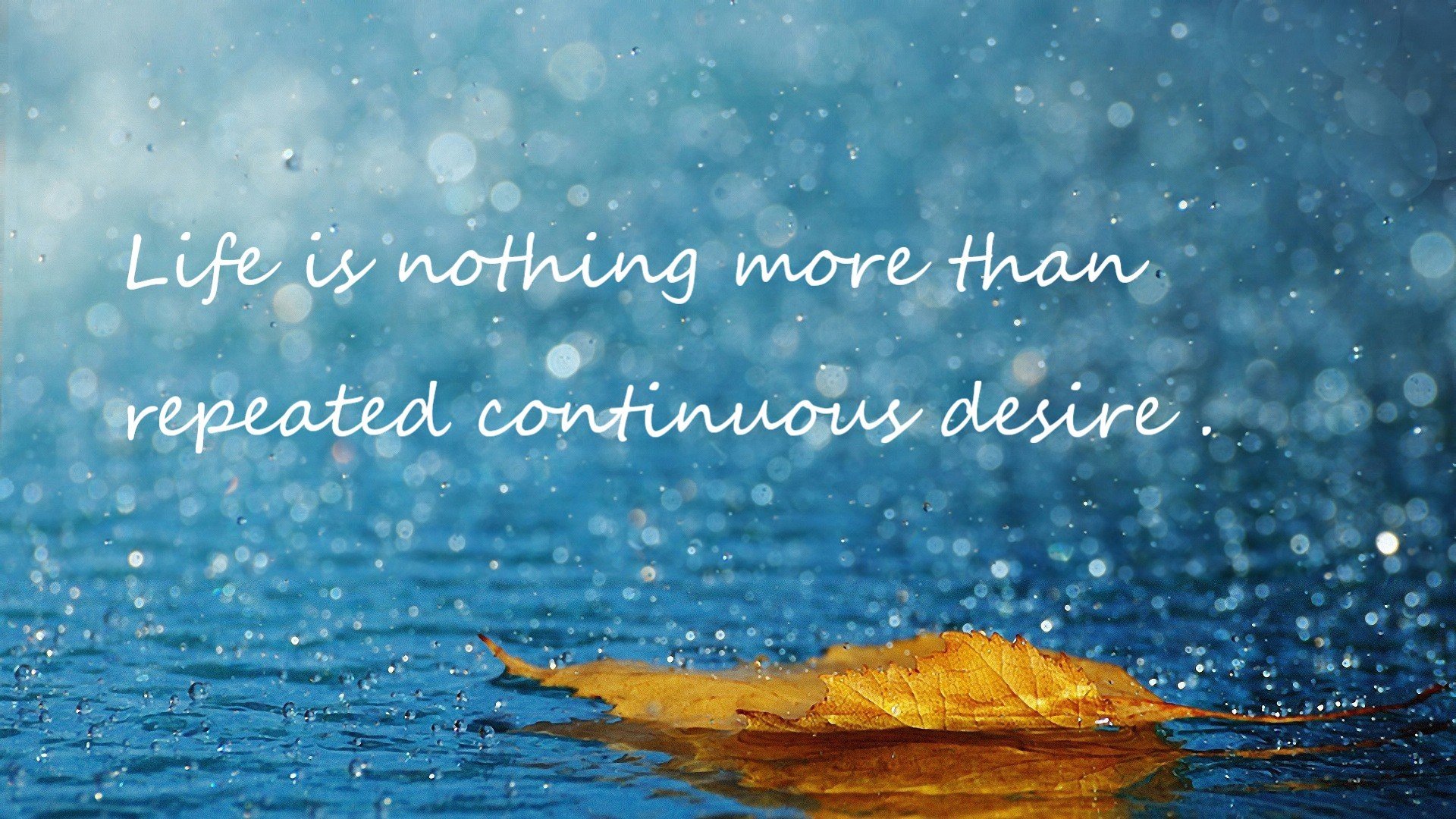 加勒比风暴席卷红牛环,牙买加小将绝杀奥地利,F1王座之争骤起狂澜