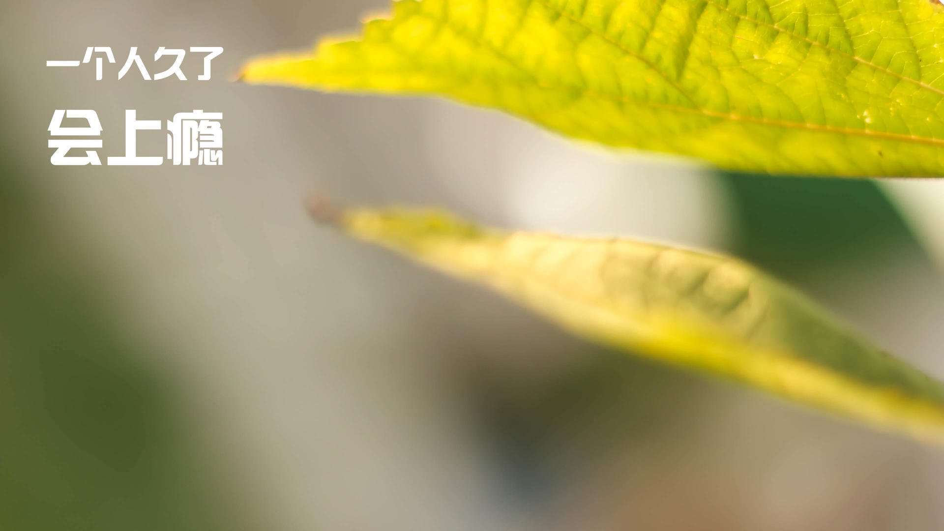 格列兹曼赛后评分拉满,墨西哥对阵克罗地亚的意外英雄