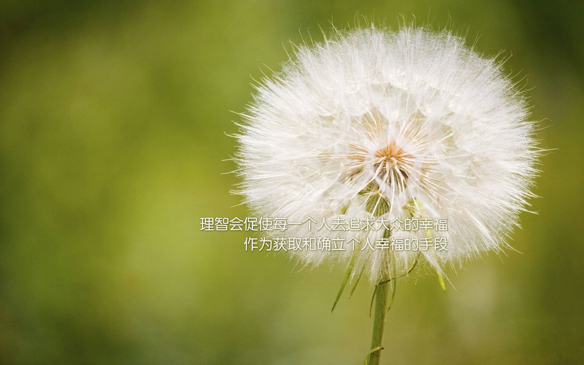 圣西罗奇迹，卢卡库化身绿茵战神，AC米兰史诗级逆转掀翻曼城王朝