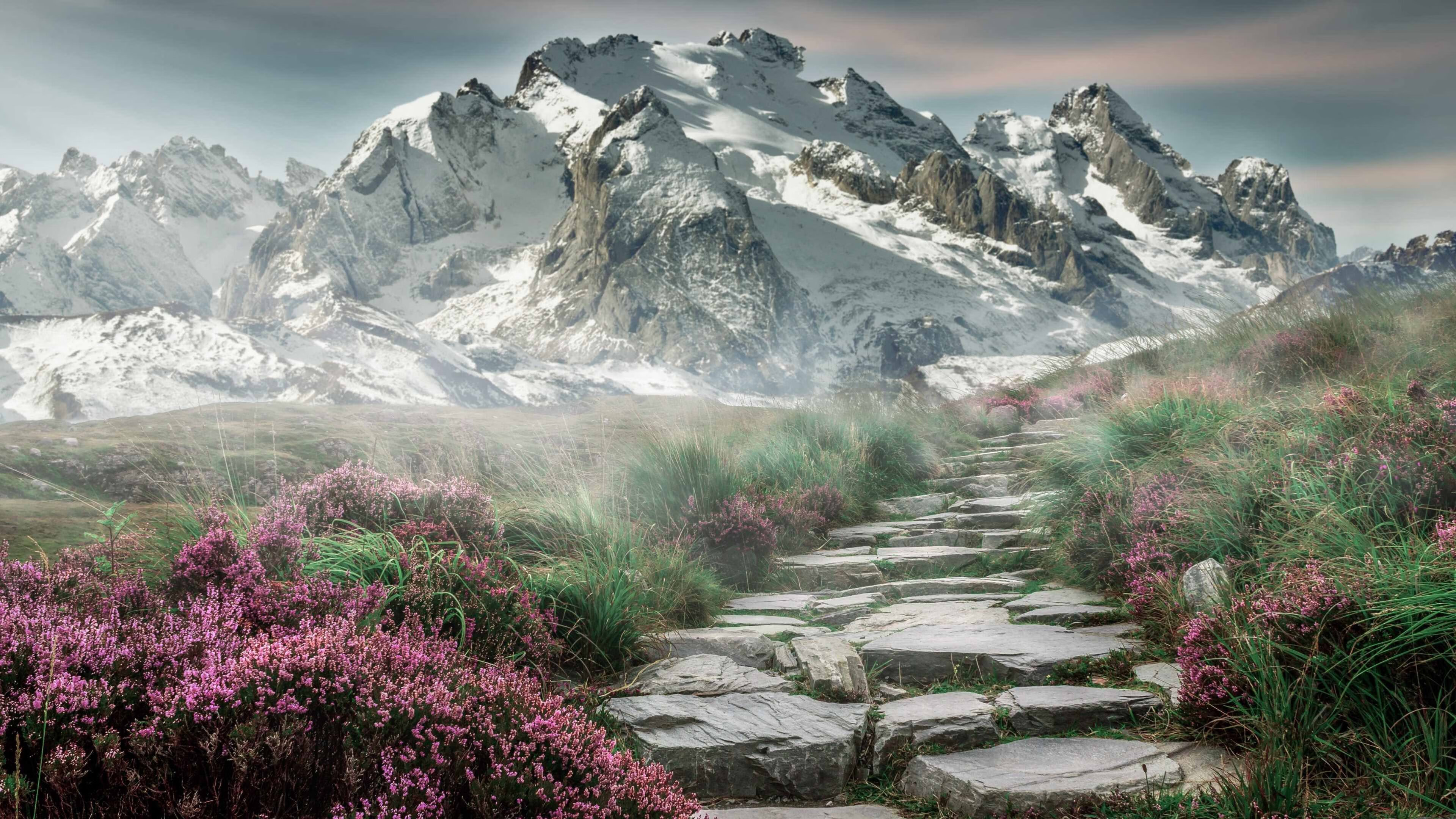 流星轨迹，王朝序章，欧冠决赛之夜范弗利特全场最佳无争议