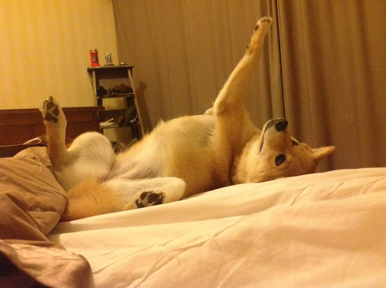 北欧风暴与桑巴利刃，内马尔绝杀与瑞典力量助莱比锡红牛欧冠突围