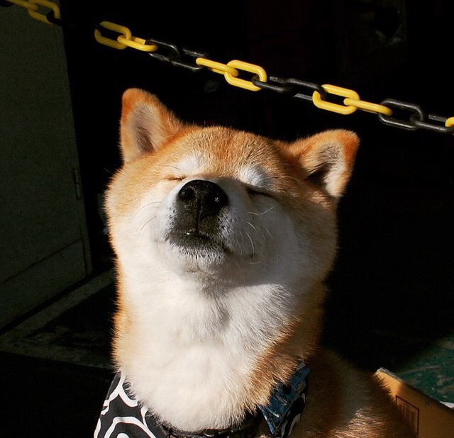 哈登压哨绝杀定乾坤，猛龙唯一之战击败上海队—跨洋对决中的关键先生传奇