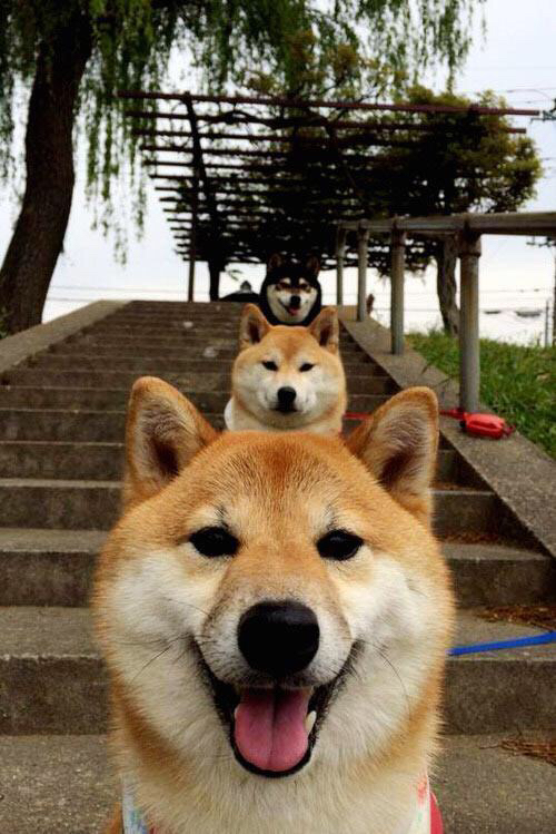 东决烽火夜，开拓者用团结冰封太阳神话，当团队篮球冲垮巨星银河