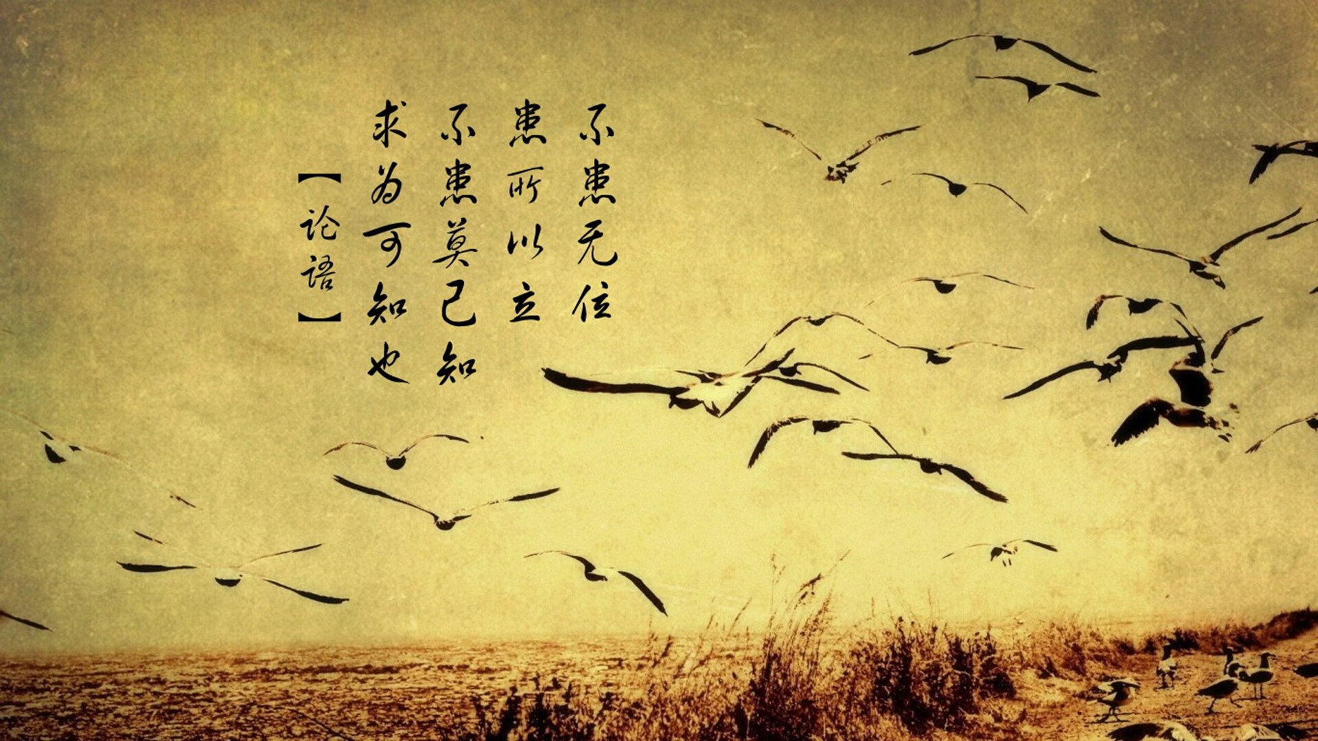 篮球与国度精神的碰撞，NBA总决赛焦点战中的伊拉克防守与南非进攻之谜