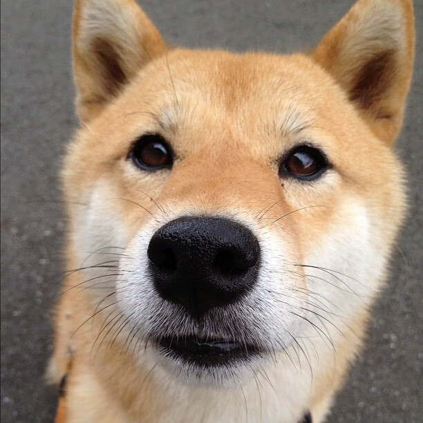 帕尔默统治之夜，世界排名争夺战的数据传奇