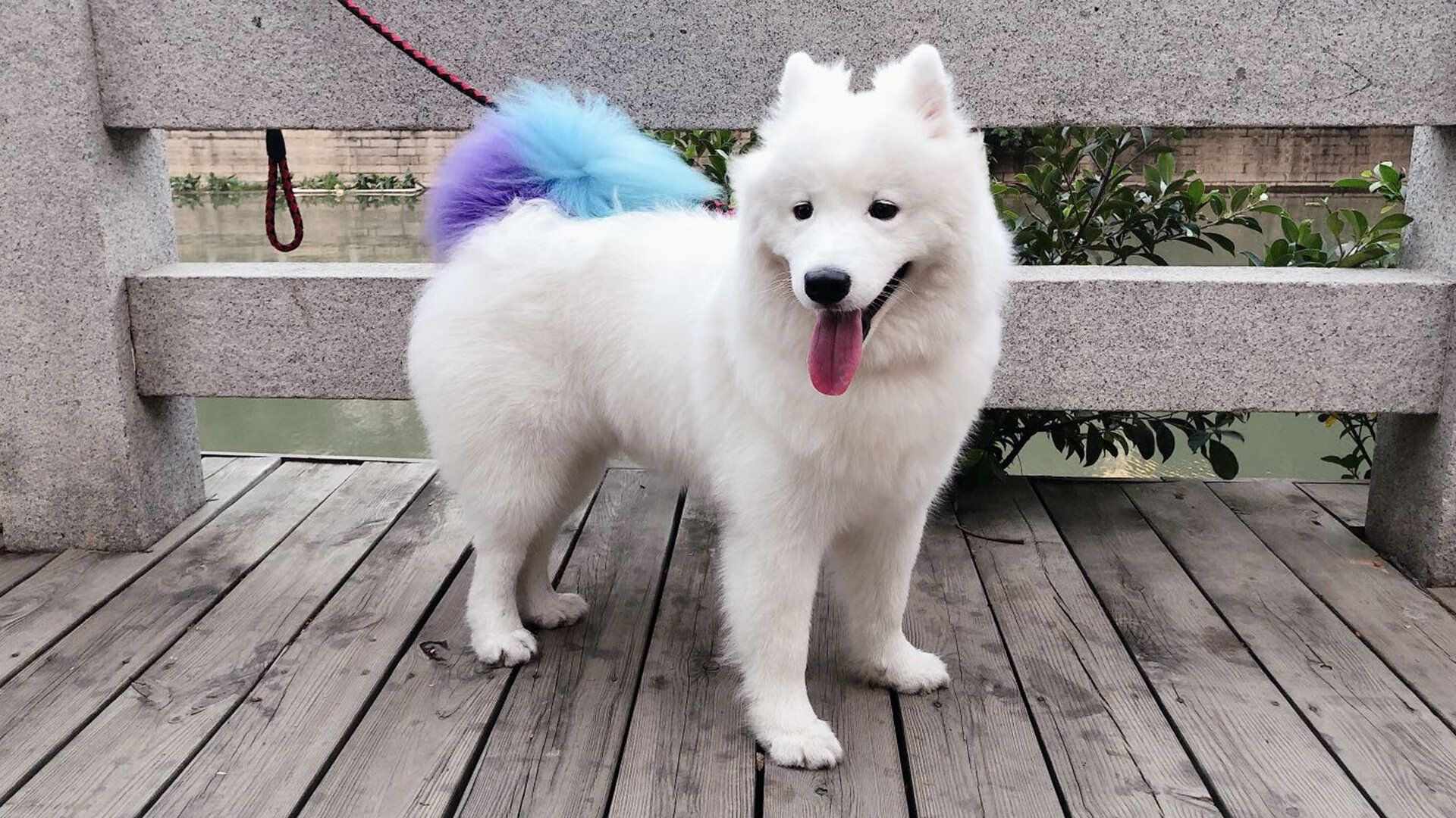 赛道上的篮球魂，F1街道赛焦点战见证热火巅峰对决胜出掘金