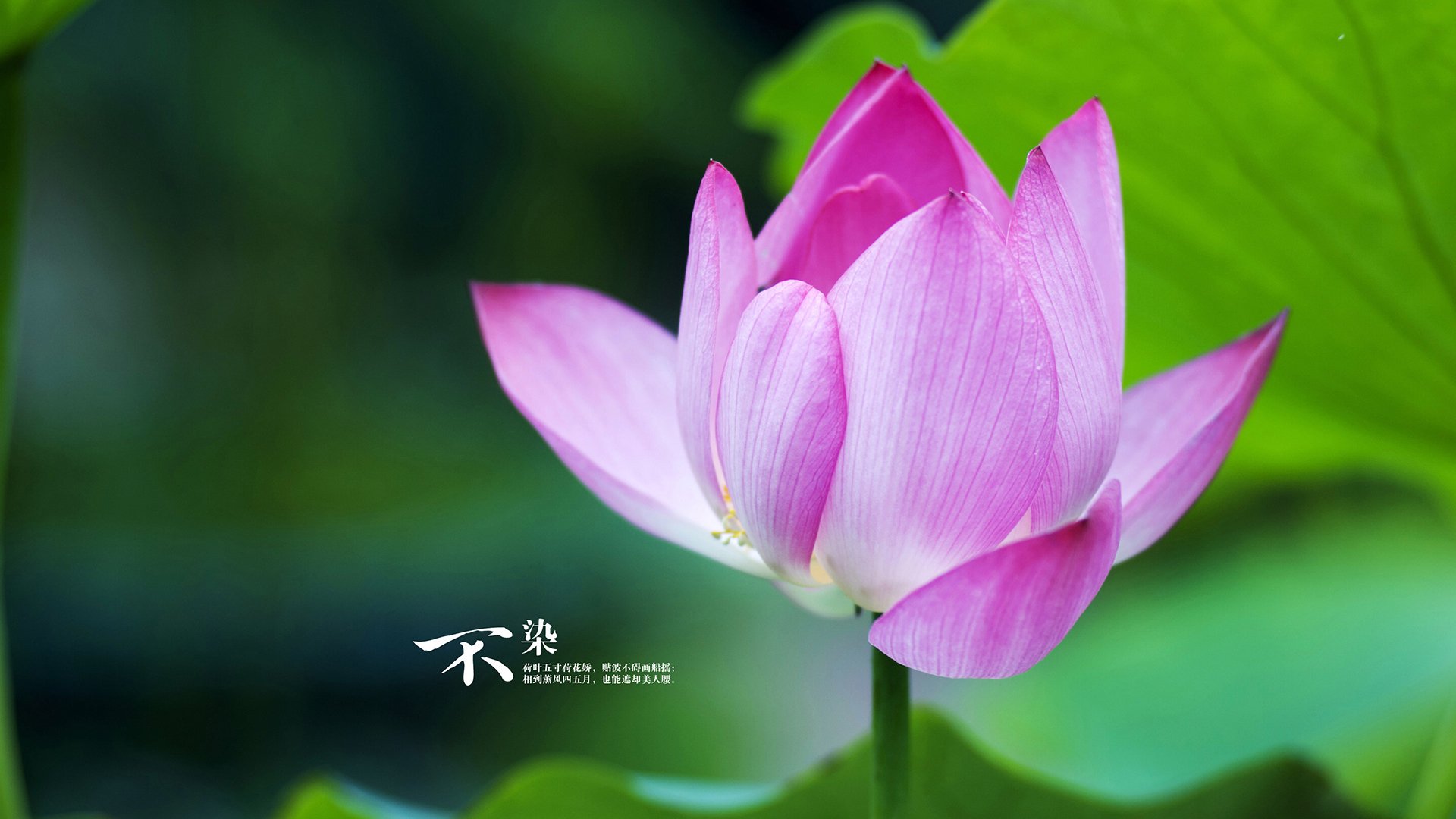 赛道无界，当F1引擎在足球场咆哮，李刚仁如何让悬念提前退赛？