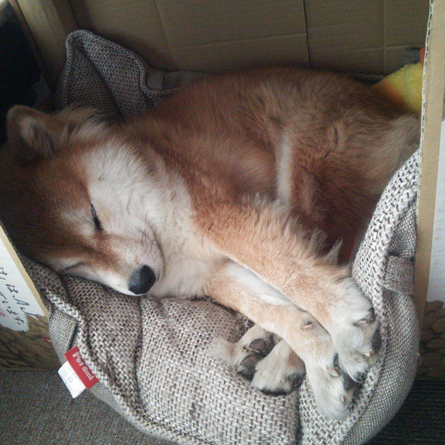 永恒的三分钟,2026世界杯之夜,乔治如何让时间成为数字的俘虏