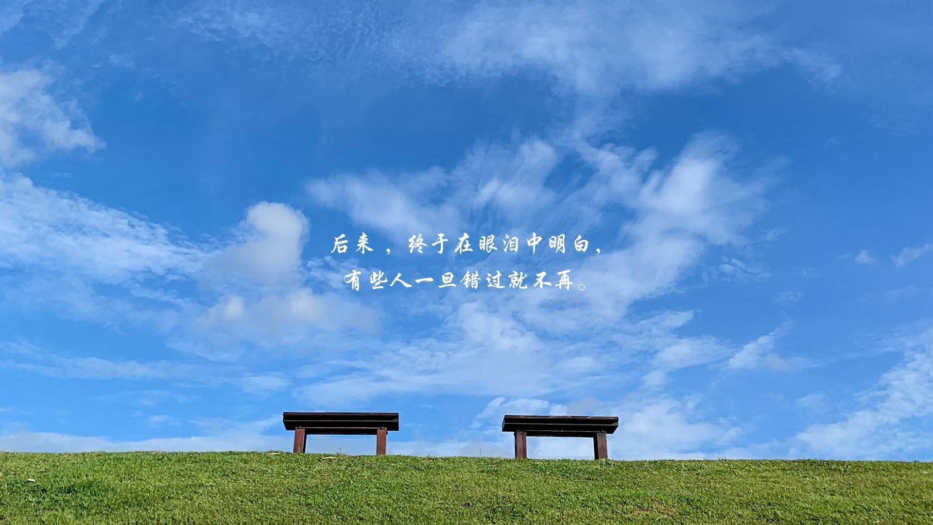 跨次元之战，新疆雪豹掀翻银黑军团，伦纳德解锁数据圣殿最后密码