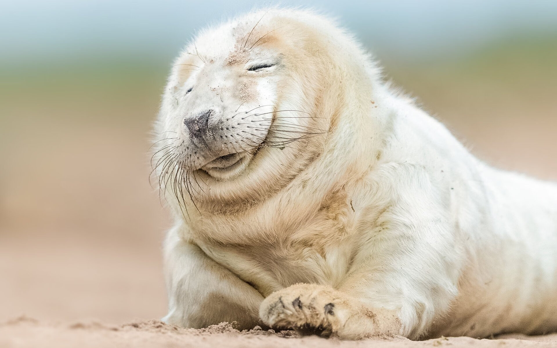 改写剧本，塔图姆的紫色闪电，劈开爵士与奇才的宿命棋盘